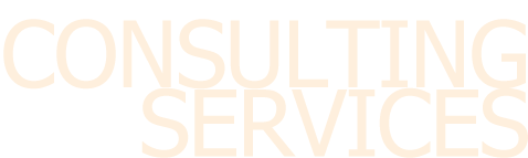 Consulting Services